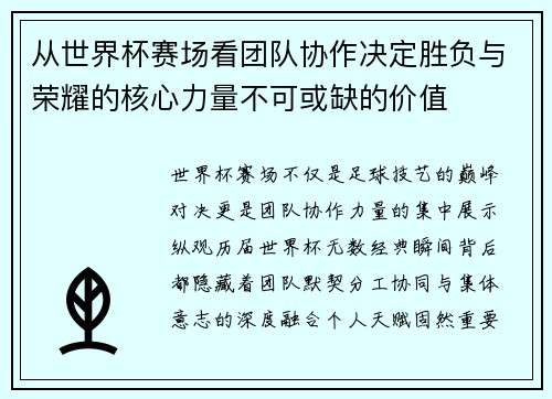 从世界杯赛场看团队协作决定胜负与荣耀的核心力量不可或缺的价值